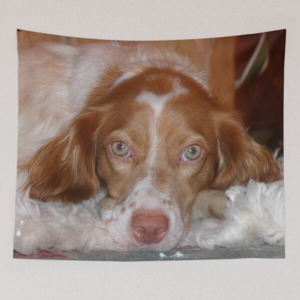 Item preview, Pretty Dog, Artemis's Mesmerizing eyes designed and sold by Christine "Xine" Segalas.