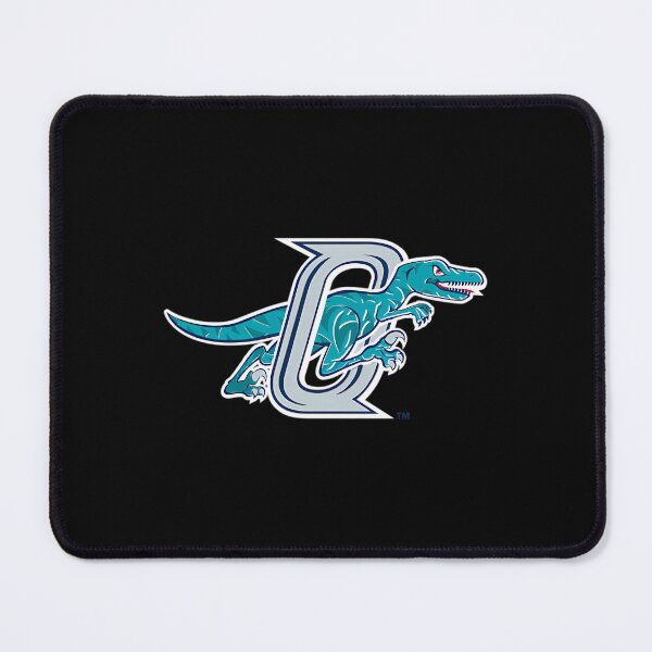Item preview, Ogden Raptors Baseball Logo designed and sold by Farhan irrfan.