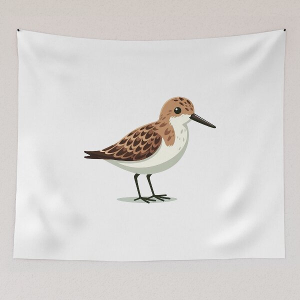 Item preview, A colorful digital illustration of a shorebird with brown and white feathers, standing elegantly. designed and sold by cave-canvas.