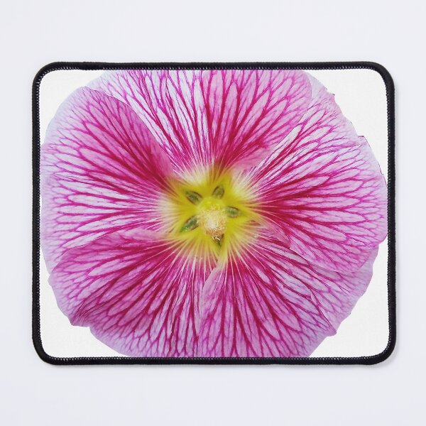 Item preview, Hollyhocks designed and sold by Murph's Images.