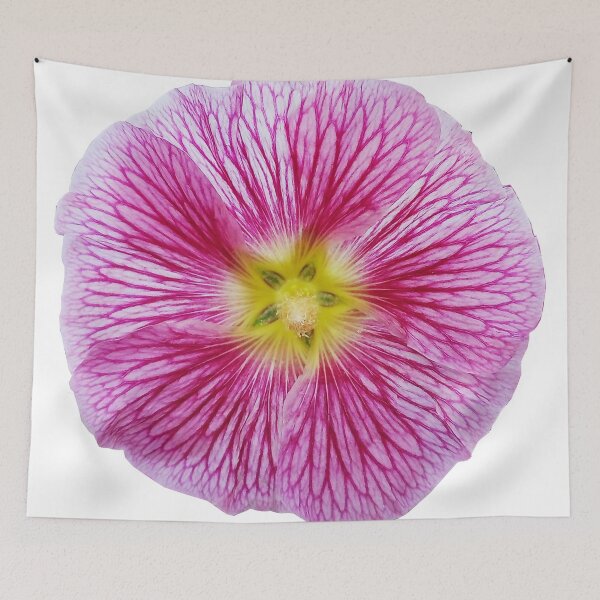 Item preview, Hollyhocks designed and sold by Murph's Images.
