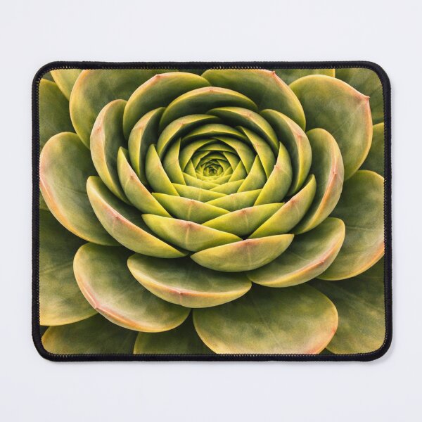 Item preview, Green Succulent Panoramic designed and sold by emeraldseason.