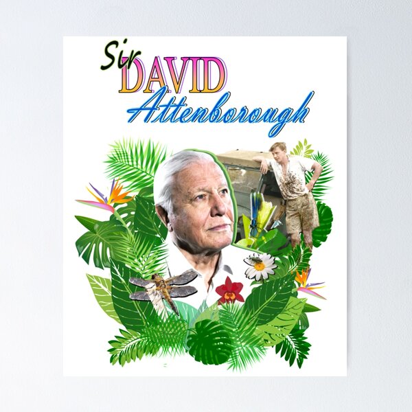 Item preview, Sirr Davidd Attenboroughh designed and sold by mehdi-ja.