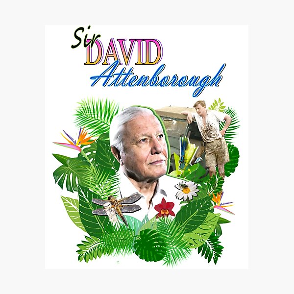 Item preview, Sirr Davidd Attenboroughh designed and sold by mehdi-ja.