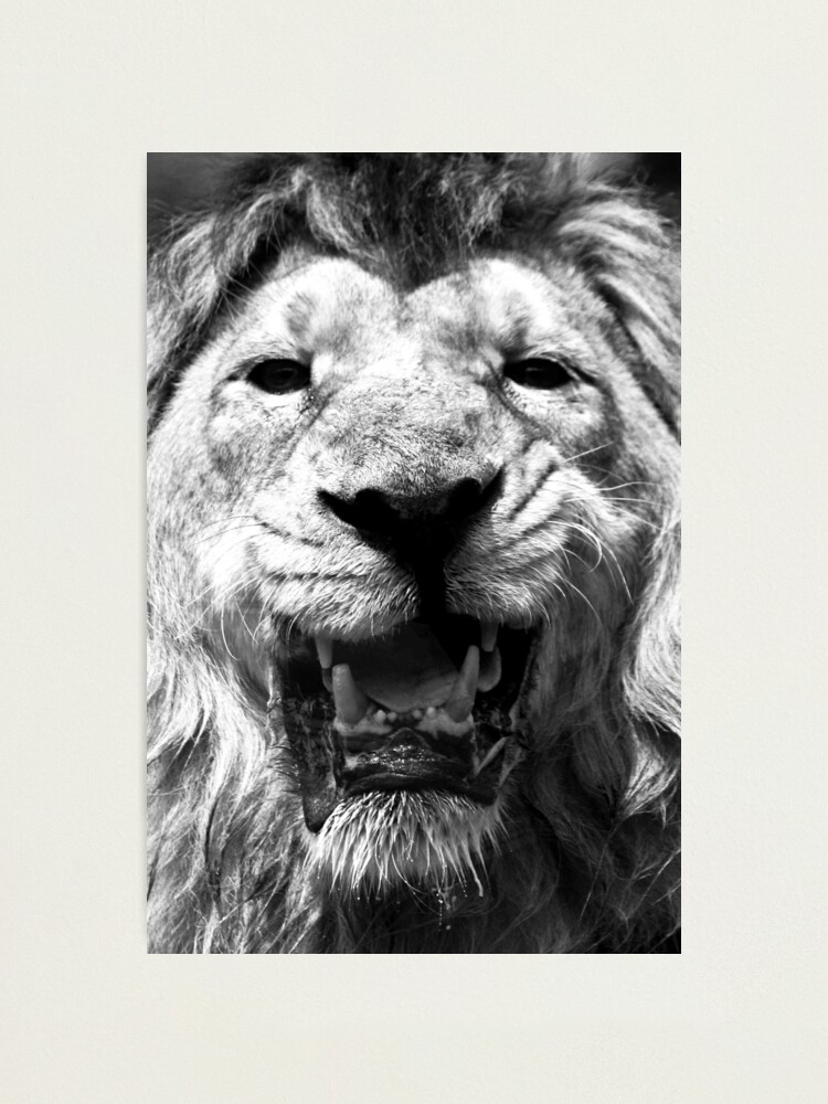 Alternate view of Ashok in Monochrome Photographic Print