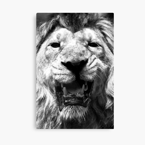 Ashok in Monochrome Canvas Print