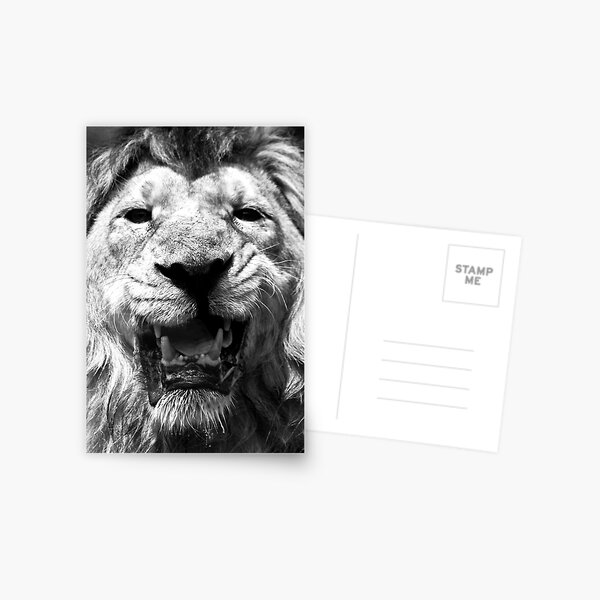 Ashok in Monochrome Postcard