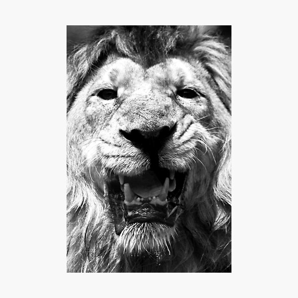 Ashok in Monochrome Photographic Print