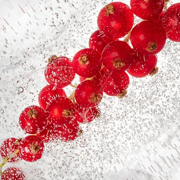Artwork thumbnail, RedCurrant  by Zina Zinchik (Seletskaya)