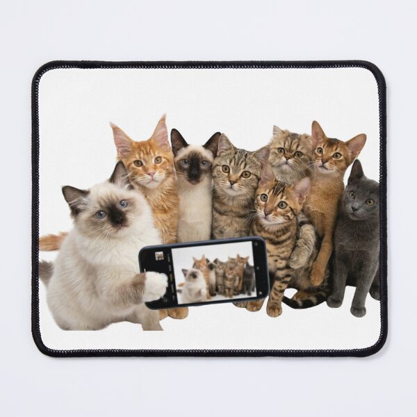 Item preview, Cat Selfie designed and sold by Snurly.