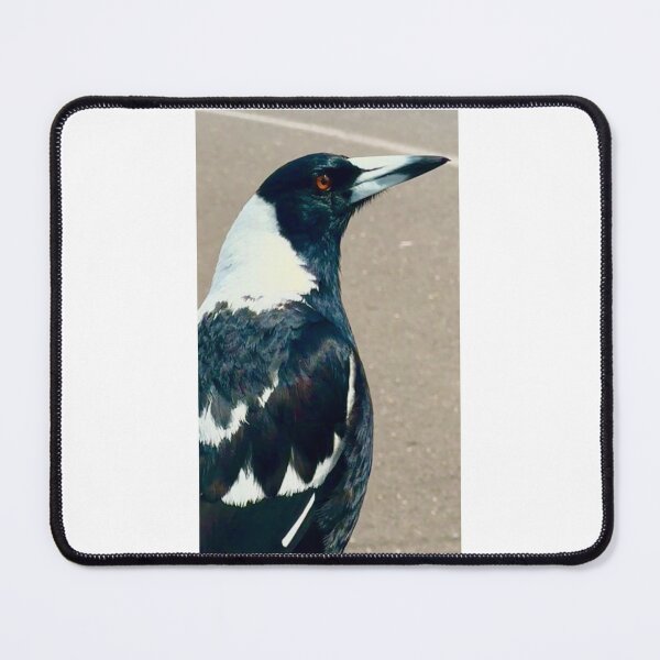 Item preview, LOCAL MAGPIE designed and sold by trevorp.