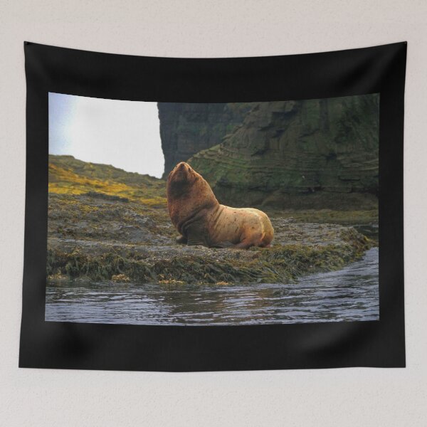 Item preview, Stellar Sea Lion, Agattu Island, Near Islands, Aleutian Islands, Alaska designed and sold by AlaskaExtreme.