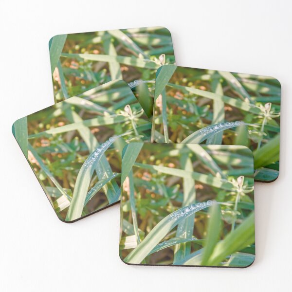 Item preview, Sparkling Morning Dew on Bright Green Leaves designed and sold by ShotsbyDesiree.