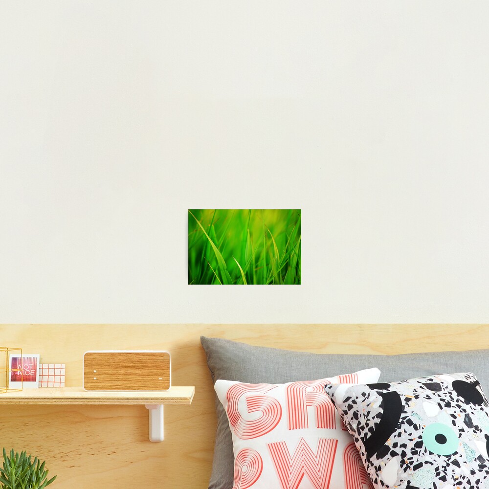 Green Photographic Print