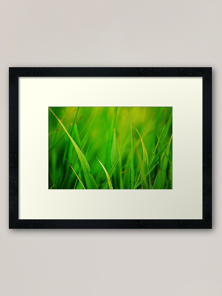 Alternate view of Green Framed Art Print