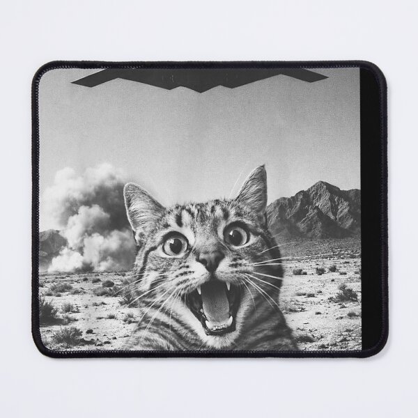 Item preview, B-2 Bomber Stealth Flyover USA UFO Aircraft Funny Cat Selfie designed and sold by RDGNR.