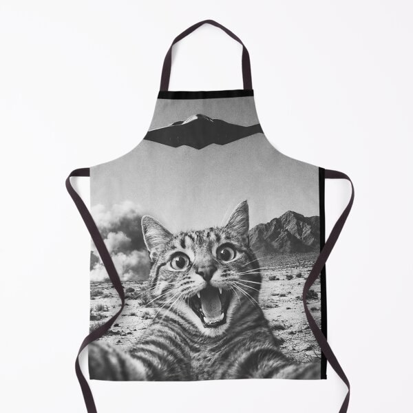 Item preview, B-2 Bomber Stealth Flyover USA UFO Aircraft Funny Cat Selfie designed and sold by RDGNR.