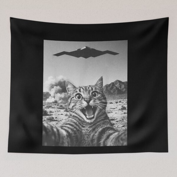 Item preview, B-2 Bomber Stealth Flyover USA UFO Aircraft Funny Cat Selfie designed and sold by RDGNR.