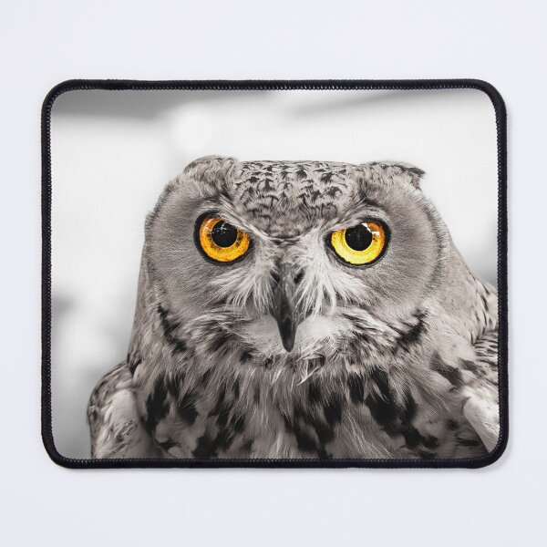 Item preview, Stunning Owl Portrait with Golden Eyes - Selective Color Wildlife Art designed and sold by AbulailArt.