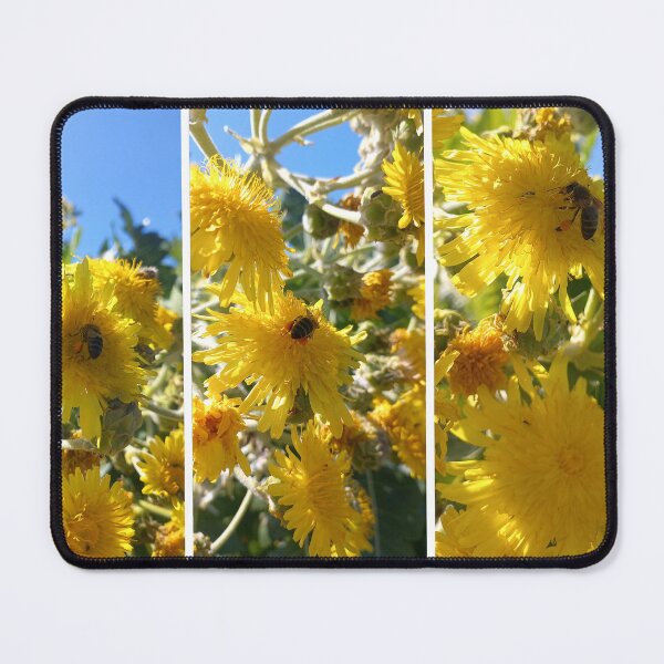 Item preview, Bees on the tree sow thistle (Sonchus) designed and sold by birgitsfotoshop.