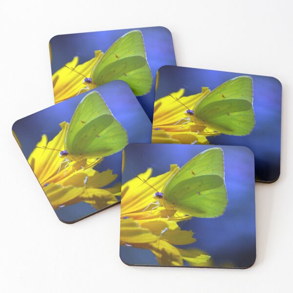 Item preview, SULFUR BUTTERFLY designed and sold by SKIP WILLITS FINE ART.