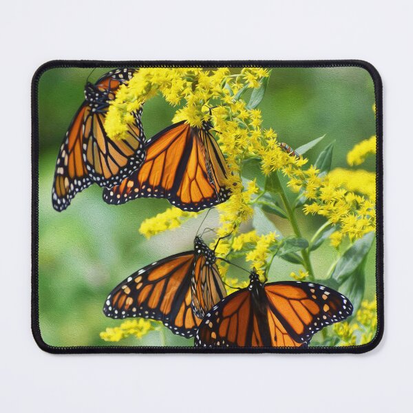 Item preview, FOUR OF A KIND designed and sold by SKIP WILLITS FINE ART.