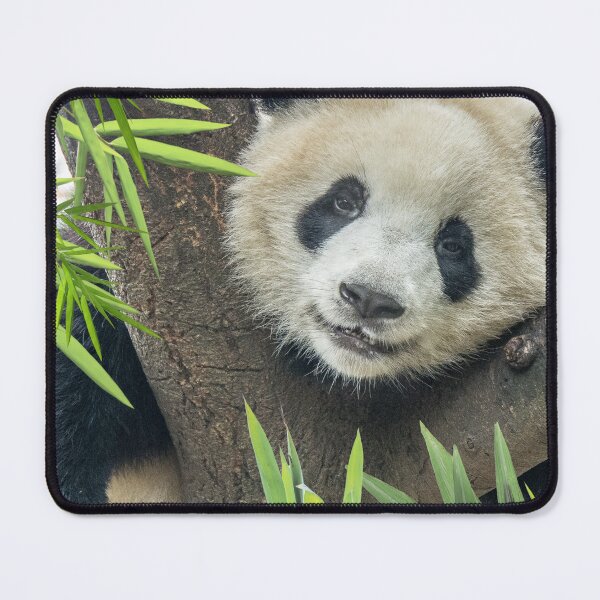 Item preview, Chill Out Time designed and sold by DigitalShoppeIL.