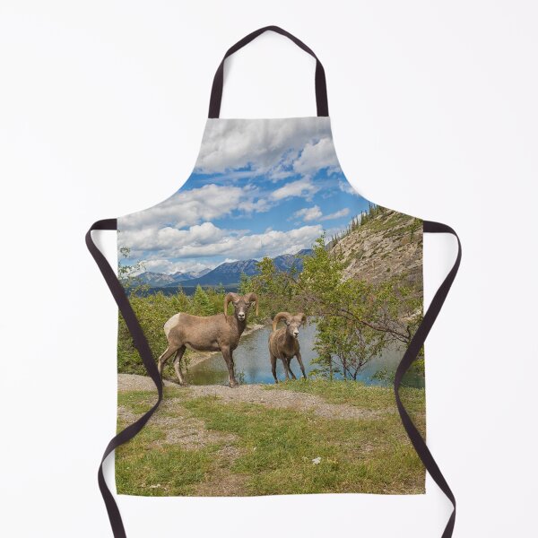 Item preview, Bighorn sheep in the Rocky Mountains designed and sold by Photopat.