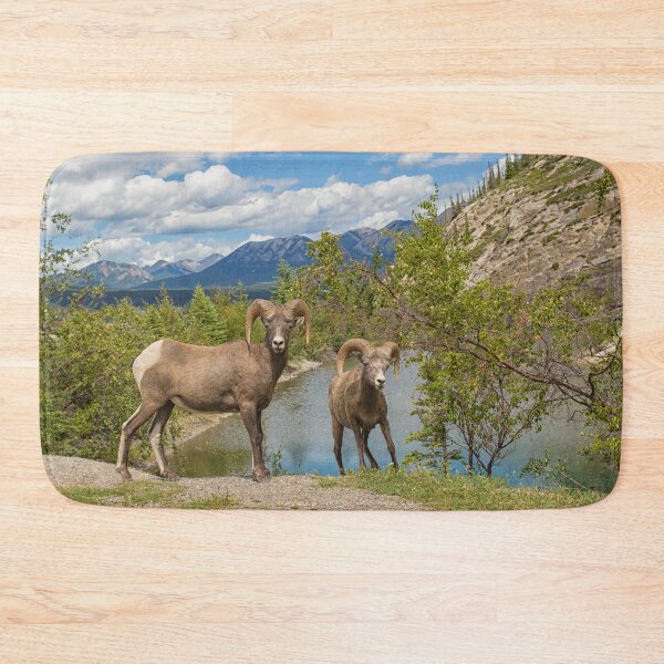 Item preview, Bighorn sheep in the Rocky Mountains designed and sold by Photopat.