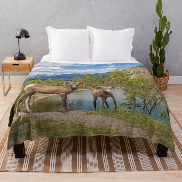 Item preview, Bighorn sheep in the Rocky Mountains designed and sold by Photopat.