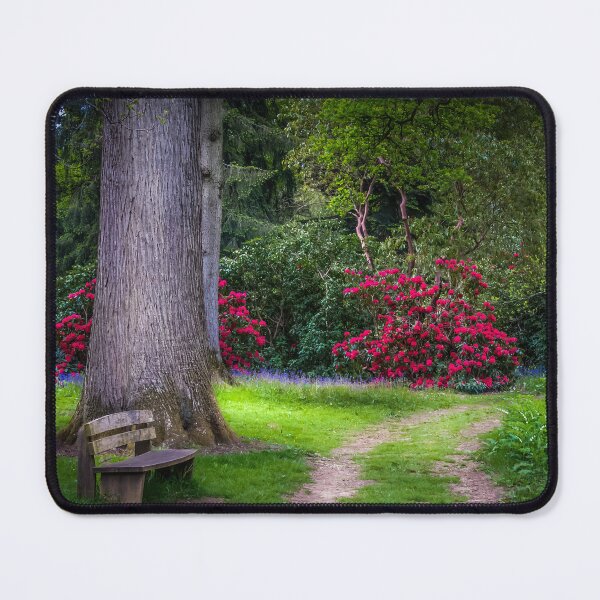 Item preview, A Spring Woodland Walk designed and sold by Viv Thompson Photography .