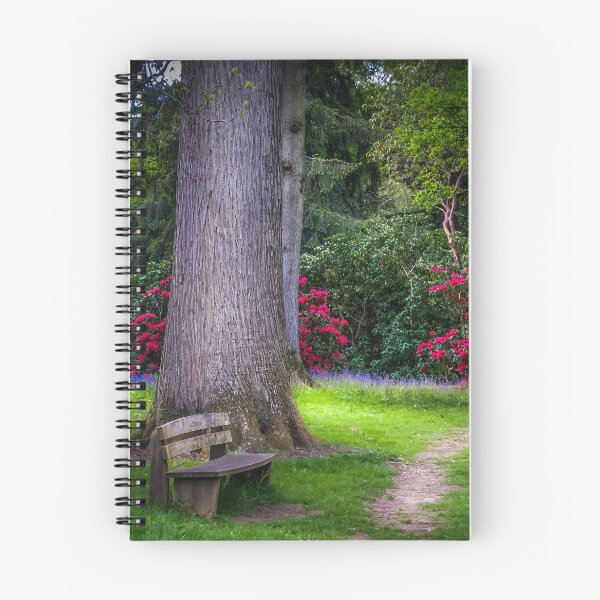 Item preview, A Spring Woodland Walk designed and sold by Viv Thompson Photography .