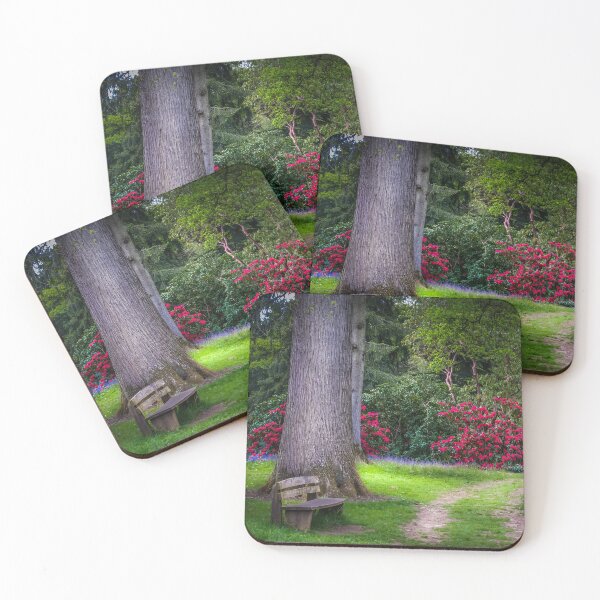 Item preview, A Spring Woodland Walk designed and sold by Viv Thompson Photography .