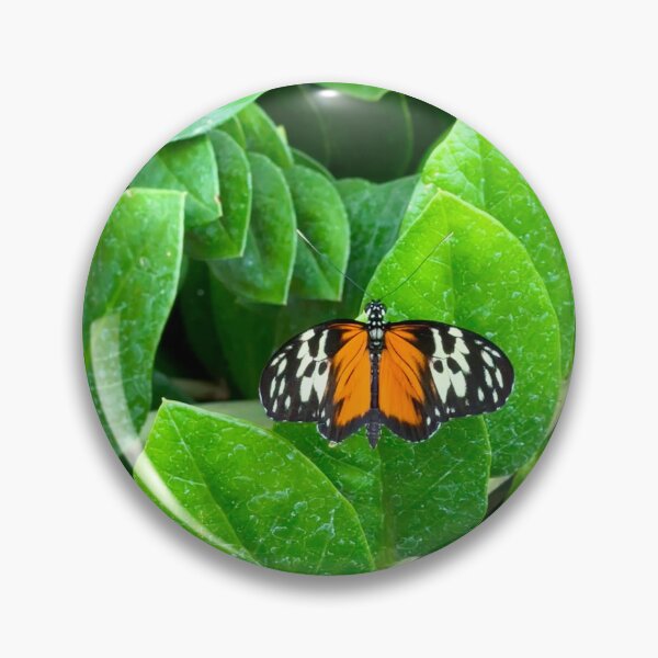 Item preview, Butterfly on a Leaf designed and sold by ClarissaFlora.