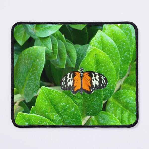 Item preview, Butterfly on a Leaf designed and sold by ClarissaFlora.