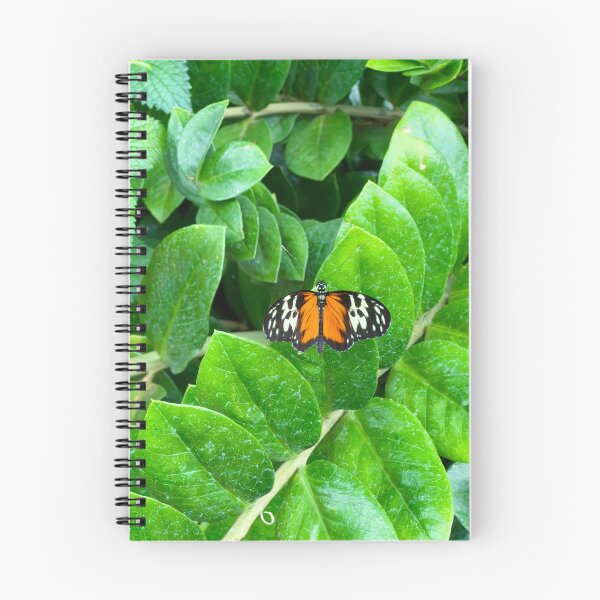 Item preview, Butterfly on a Leaf designed and sold by ClarissaFlora.