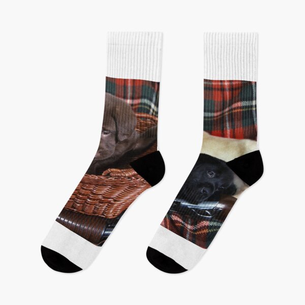 Item preview, THREES A PAIR designed and sold by SKIP WILLITS FINE ART.