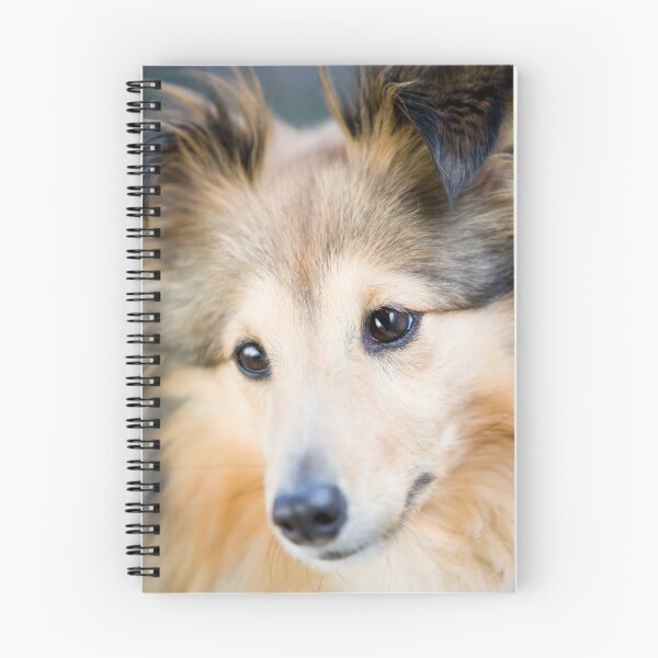 Item preview, Shetland Sheepdog Portrait designed and sold by katifinell.