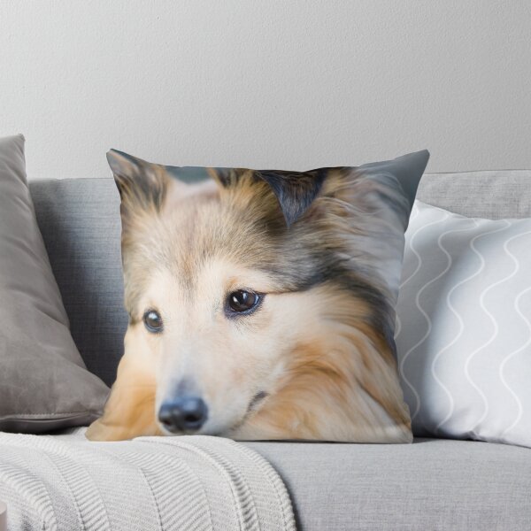 Item preview, Shetland Sheepdog Portrait designed and sold by katifinell.