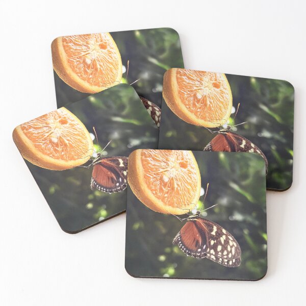 Item preview, Butterfly Feeding on Orange Slice – Nature Photography designed and sold by Sarah – Fine Art & Photography.