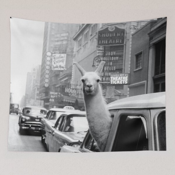 Item preview, Vintage llama in New York City taxi cab humorous black and white photograph designed and sold by Astrid Arkhangelsky.