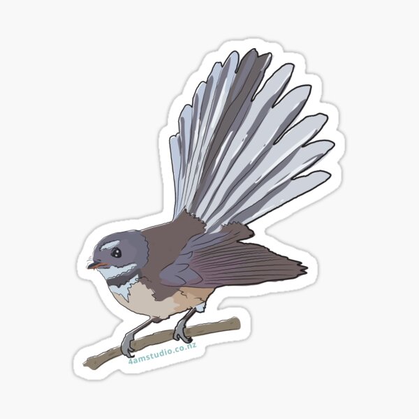 Hand Drawn New Zealand Fantail Bird Sticker