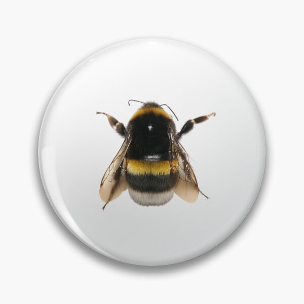 Item preview, Bumble Bee! designed and sold by Charchartheduck.