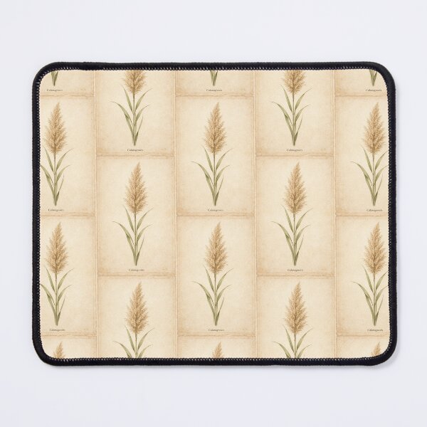 Item preview, Vintage Calamagrostis Botanical Print - Ornamental Grass Antique Illustration designed and sold by Darlin8888.