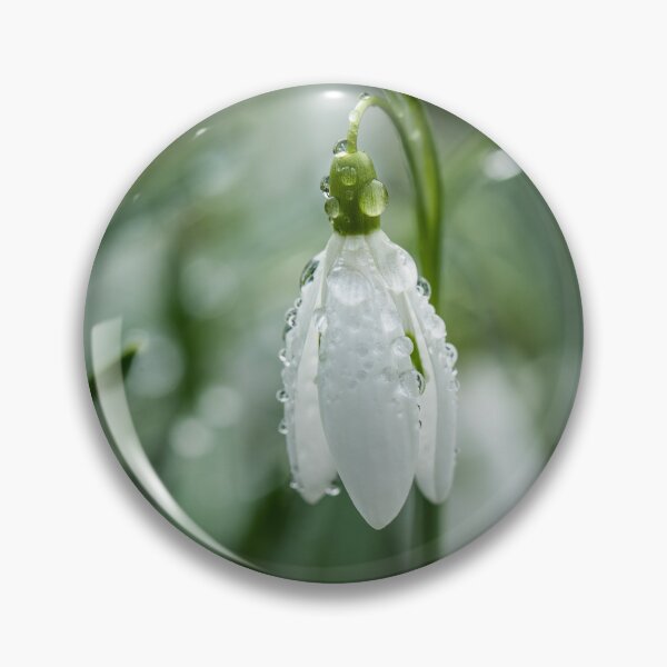 Item preview, Morning Dew on Snowdrop – Delicate Spring Bloom Macro Photography designed and sold by JSFrame.