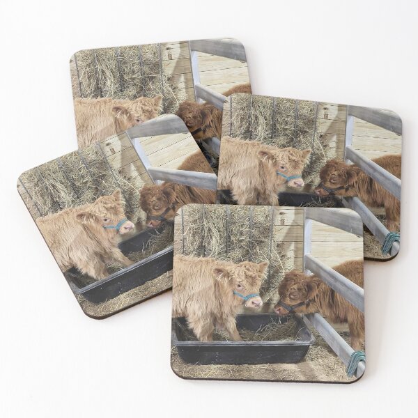 Item preview, Two Baby Highland Cows Photos designed and sold by Cinderpaw1.
