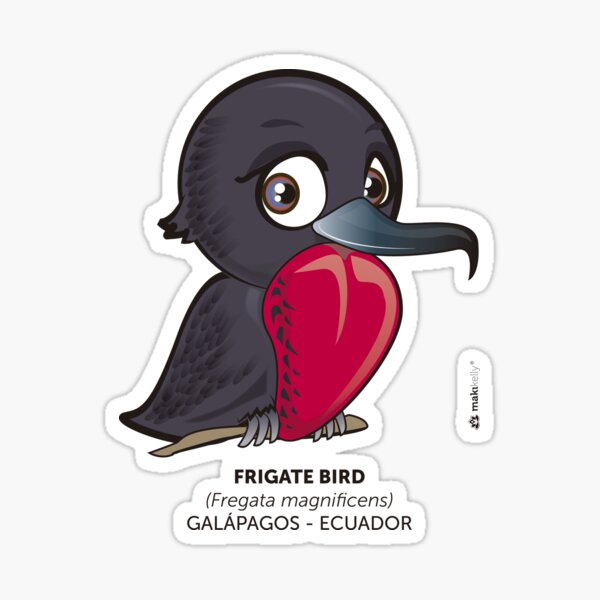 Frigate Bird Sticker