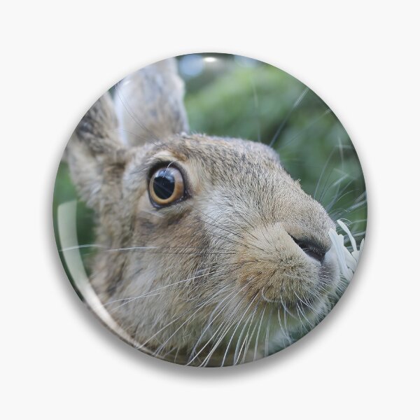 Item preview, Brownhare smelling a flower designed and sold by MorningFive.