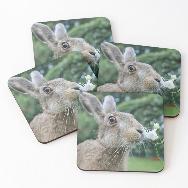 Item preview, Brownhare smelling a flower designed and sold by MorningFive.