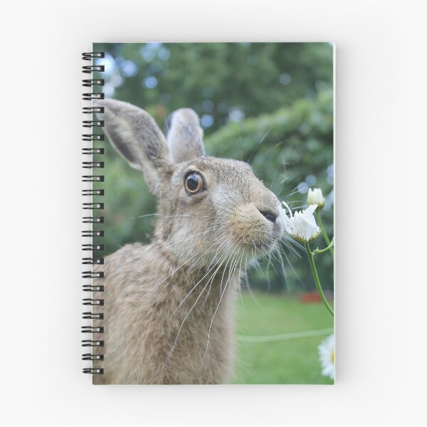 Item preview, Brownhare smelling a flower designed and sold by MorningFive.